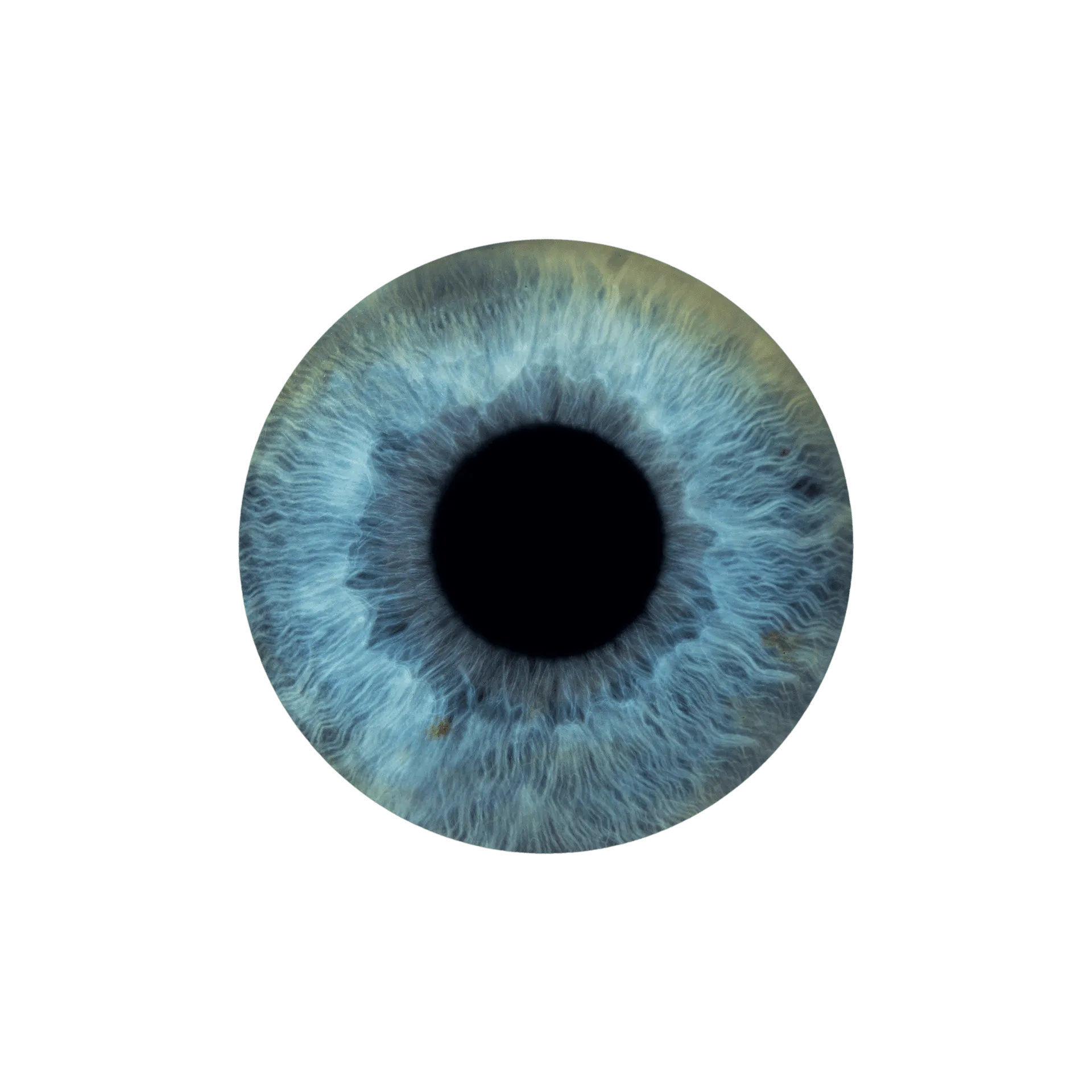 Foto der Iris im Auge